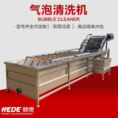 蒲公英清洗风干流水线