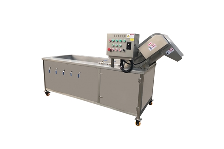 Ozone vegetable washing machine