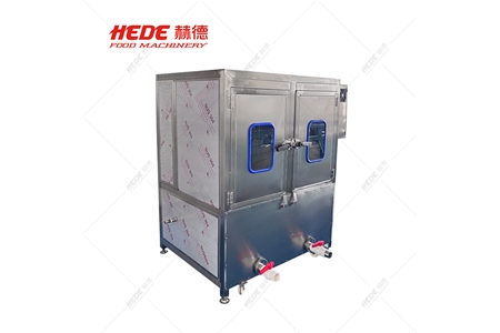 Double bucket washing machine